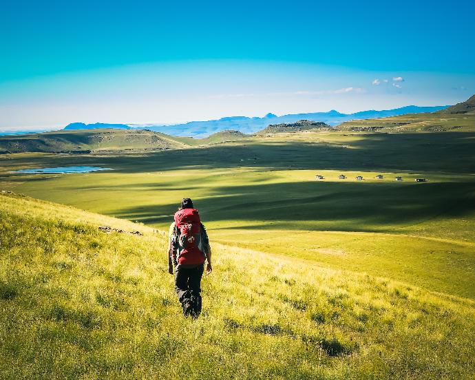 man walking on green grass field