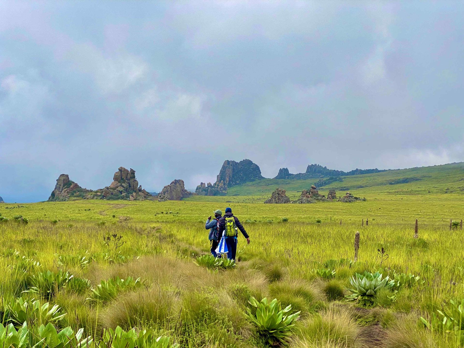 Hikers on a scenic trail featuring beautiful rock formations in the Aberdares Dragon's Teeth trail | Train for Mt. Kenya, Outdoorer Kenya