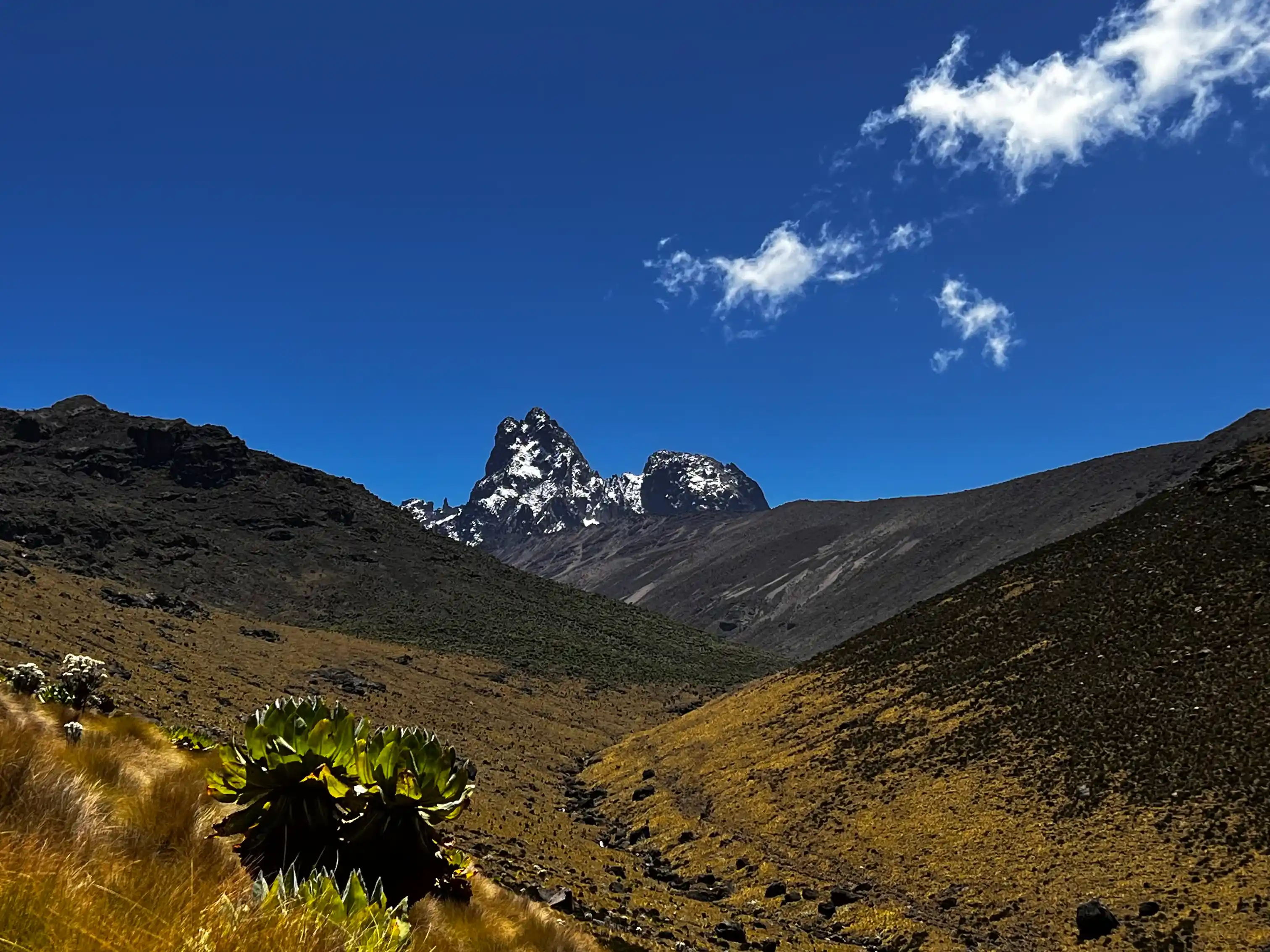 A view of the snow-capped Mount Kenya peaks from a viewpoint along the Mount Kenya Sirimon route towards Likii North Hut